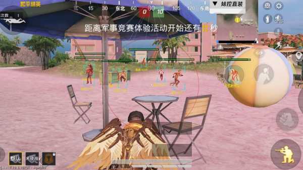 和平精英辅助【咪鸭容器直装】直播防录屏 漏打自瞄 人物透视 方框射线 人物距离 人物血条